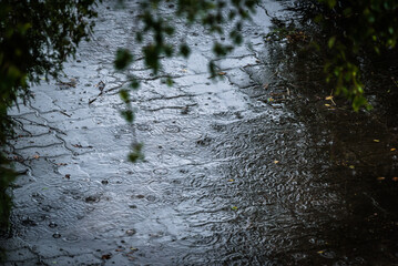 RAIN IN CITY - Drops of water fall on the wet pavement