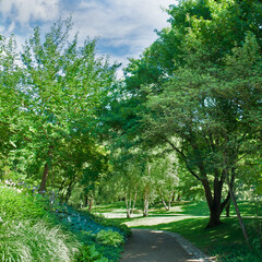 Fototapeta na wymiar Summer garden with green lawns, flowers and a walking path.