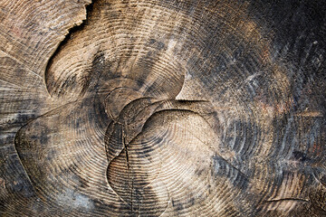 Fototapeta premium Wooden structure as a background