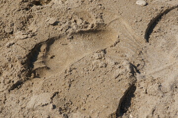 Huella de un pie en la arena de la playa