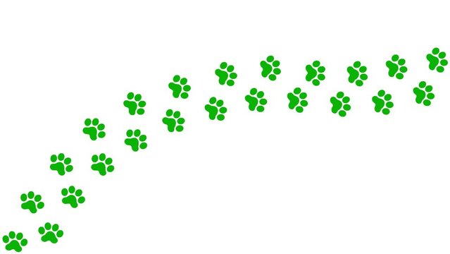 Animated cat green tracks. A cat's paw print appears take turns in a row. Looped video. Vector flat illustration isolated on the white background
