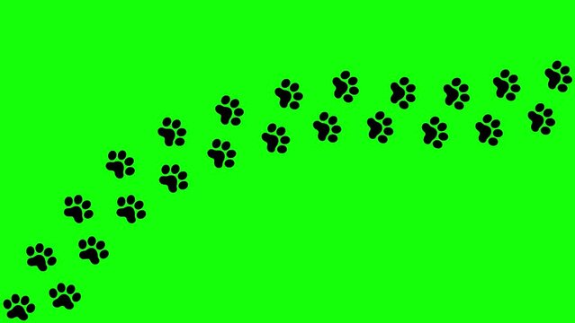 Animated cat black tracks. A cat's paw print appears take turns in a row. Looped video. Vector flat illustration isolated on the green background.

