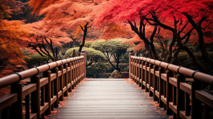Wooden bridge in the autumn park, Japan autumn season, Kyoto Japan