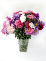 colorful flowers asters from the garden close up