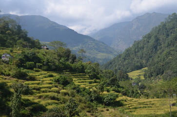 Fototapeta na wymiar A view of the Himalayan valley. Nepal.