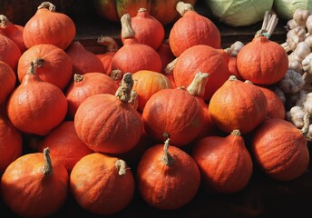 pumpkin hoccaido as tasty wholesome vegetable close up