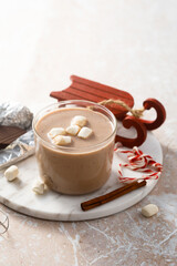 Homemade hot chocolate with marshmallow