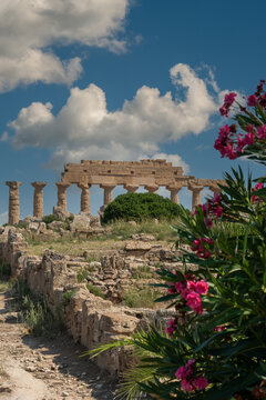 Parco Archeologico di Selinunte - Castelvetrano - Trapani - Sicilia - Italia