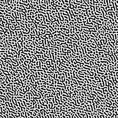 Vector-illustrated turing pattern with chaotic curved details in white and black

Vector Formats 