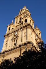 Fototapeta premium Catedral de Murcia