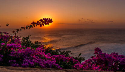 Flowerish sunset on the coast
