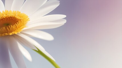 Fototapeta na wymiar A close-up of a delicate daisy, minimalist art style, tranquil mood, abstract wallpaper design, Created with generative AI 