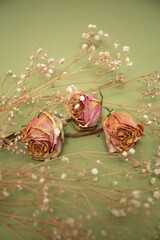 Pink dry roses with white little flowers on olive color background