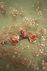 Pink dry roses with white little flowers on olive color background