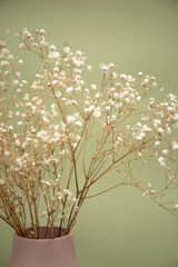 Little flowers in pastel pink vase on olive color background.