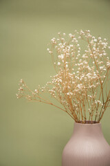 Little flowers in pastel pink vase on olive color background.