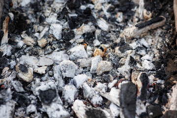 Coals for cooking shish kebab and barbecue. Hot coals and hot ash show the art surface texture.