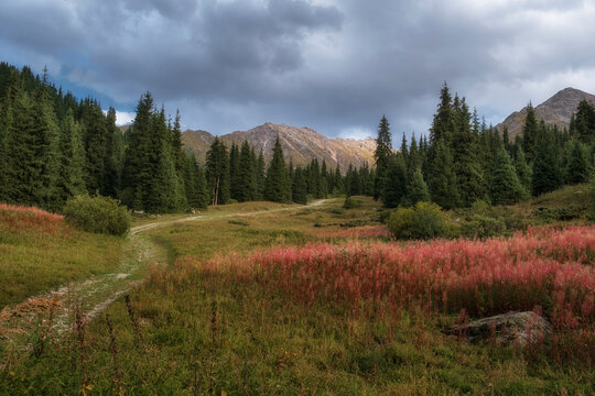 Beautiful and colorful landscape at sunset in early autumn. The Great Almaty Gorge in the Zailiysky Alatau mountains Almaty Kazakhstan