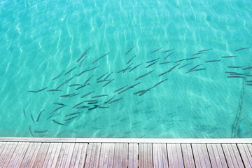 blue water background