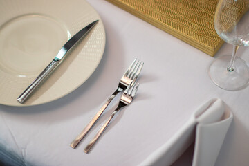 adjusting table settings in restaurant, mid section