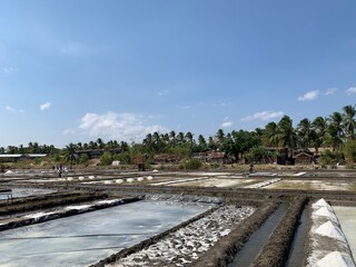 view of salt production on the seafront