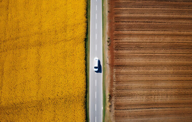 Aerial shot of a car driving through crops and grass fields