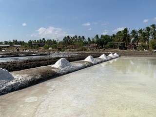 view of salt production on the seafront
