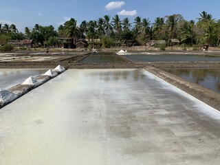 view of salt production on the seafront