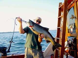 King Salmon in Lake Ontario Canada 