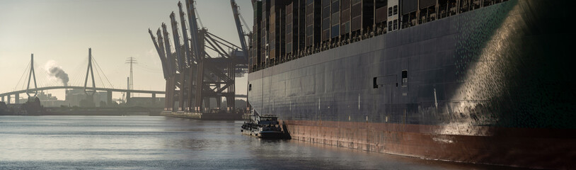 Large container ships at a terminal in Hamburg at rising sun
