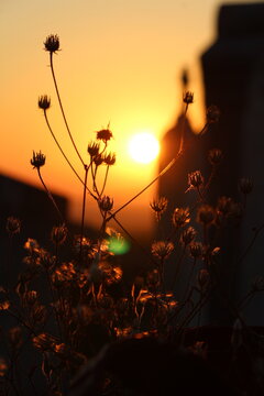 aube, lumi&egrave;re, lumineux, soleil, clair obscur, contre jour, ciel, paysage, nature, lever du soleil, orange, rouge, silhouette, matin, jaune, beau