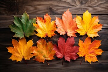 Naklejka na ściany i meble autumn leaves background texture