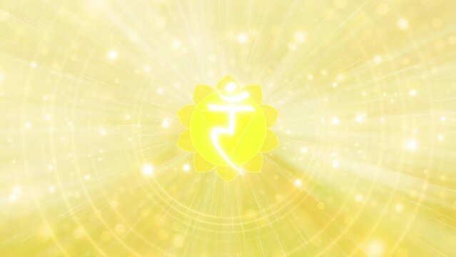 土信田裕介の「Solar Plexus System 」 SOLAR PLEXUS SYSTEM 土信田裕介先生