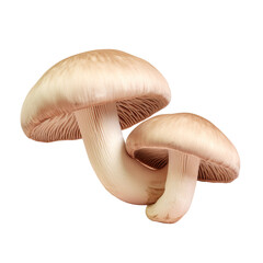 mushroom transparent background