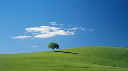 Die Stille des Einzelnen: Ein einsamer Baum in der Landschaft