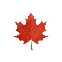 cute element is about autumn