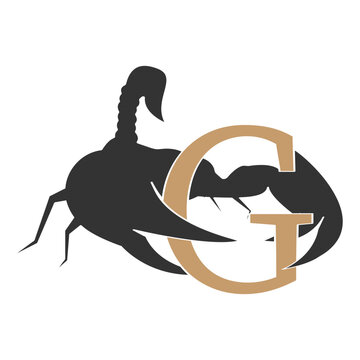 letter and scorpion vector logo illustration design