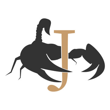 letter and scorpion vector logo illustration design