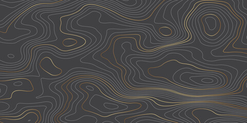 Abstract luxury golden and black wave lines art background. Background of the topographic map. Design used for wall art, fabric, packaging, web, banner, wallpaper.