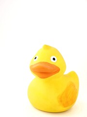 Yellow toy duck isolated on a white background with copy space to add text 