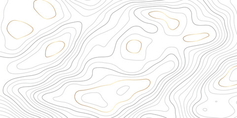 Abstract topographic contours map background. Topography white wave lines vector background. Topographic map Patterns, Topographic map and place for texture. Wavy curve lines banner design.