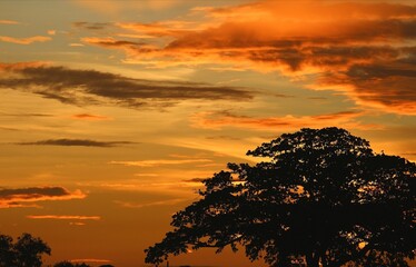 Colors of the sky in the evening