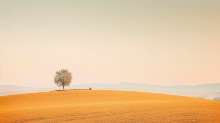 Naklejka premium tree in the field