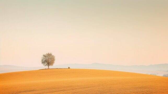 tree in the field © Muhammad