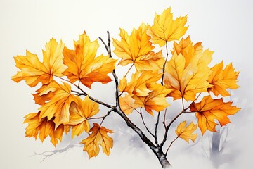 Naklejka na ściany i meble autumn leaves isolated on white