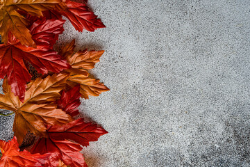 Autumnal frame on concrete background
