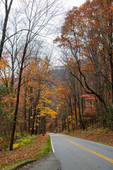 Solitary Traveler on a Smoky Moutain Road