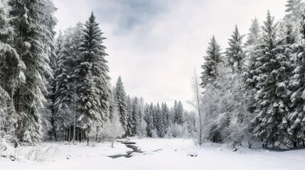 A photograph of a landscape