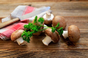 Obraz na płótnie Canvas Champignons