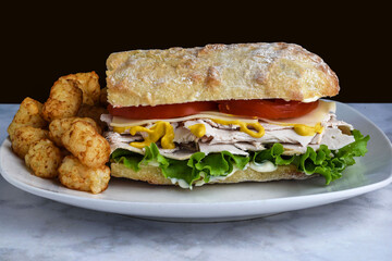 turkey sub with tomatoes cheese and mustard